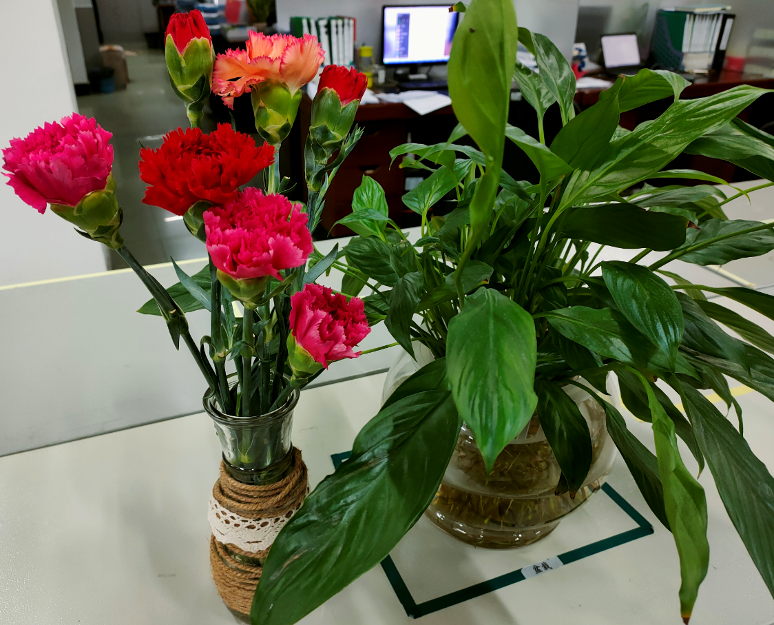 k8����(�й�)����Ӯ�ҡ�һ������