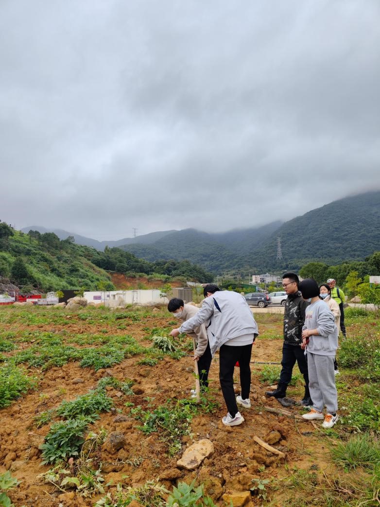 k8����(�й�)����Ӯ�ҡ�һ������