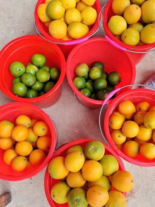 k8����(�й�)����Ӯ�ҡ�һ������