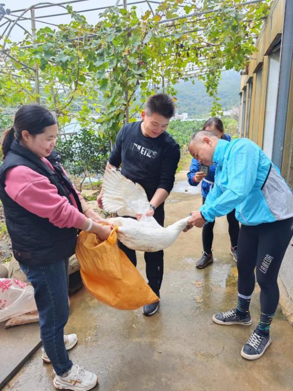 k8����(�й�)����Ӯ�ҡ�һ������