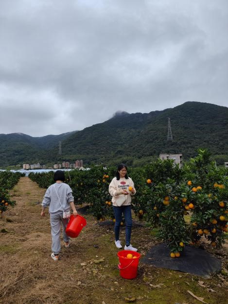 k8����(�й�)����Ӯ�ҡ�һ������