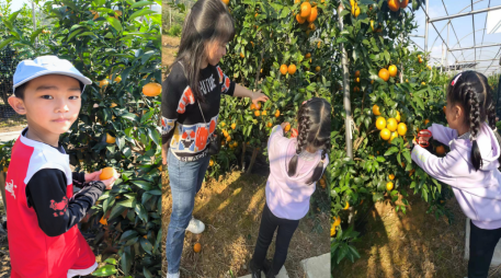 k8����(�й�)����Ӯ�ҡ�һ������