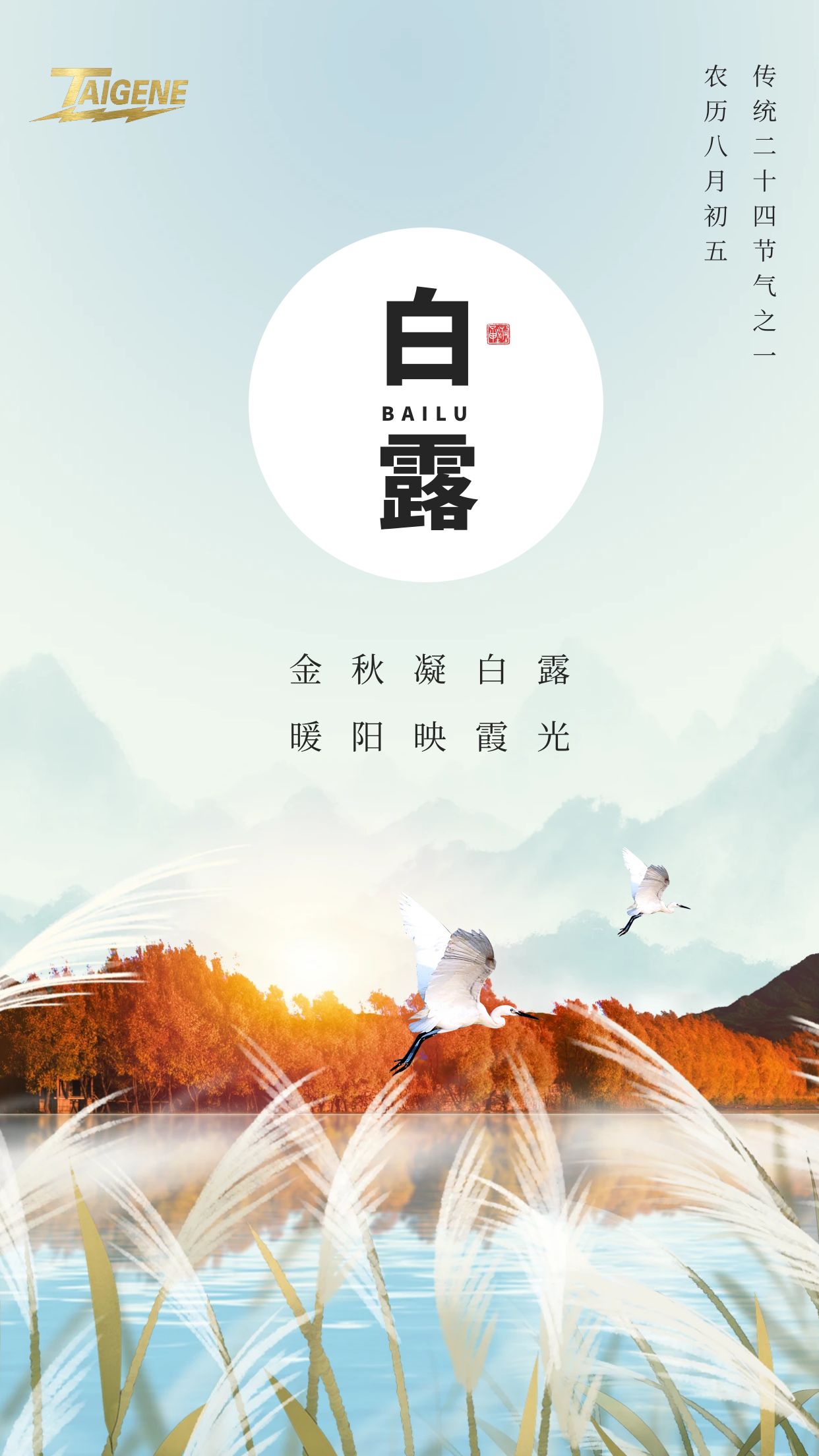 k8����(�й�)����Ӯ�ҡ�һ������