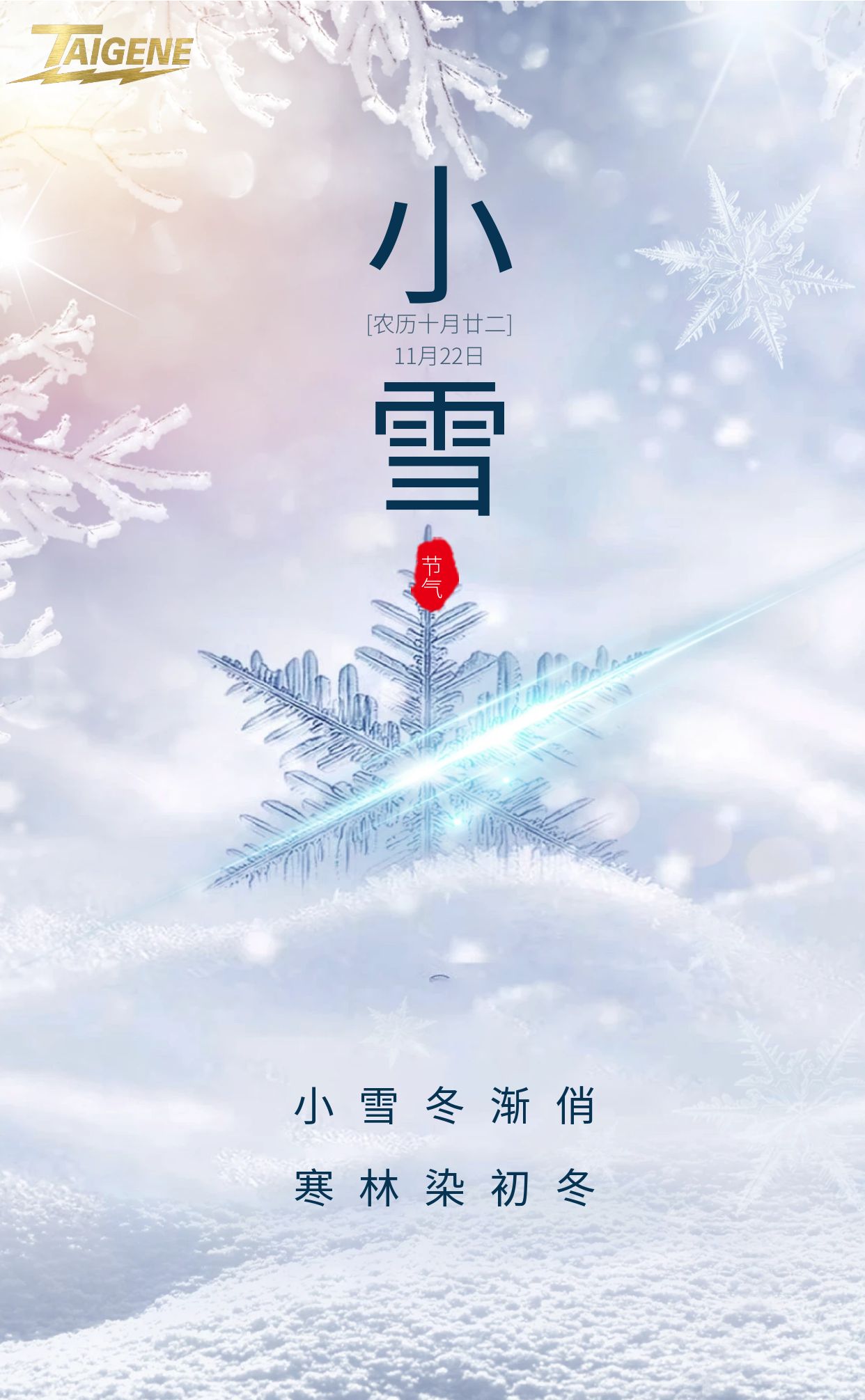 k8����(�й�)����Ӯ�ҡ�һ������